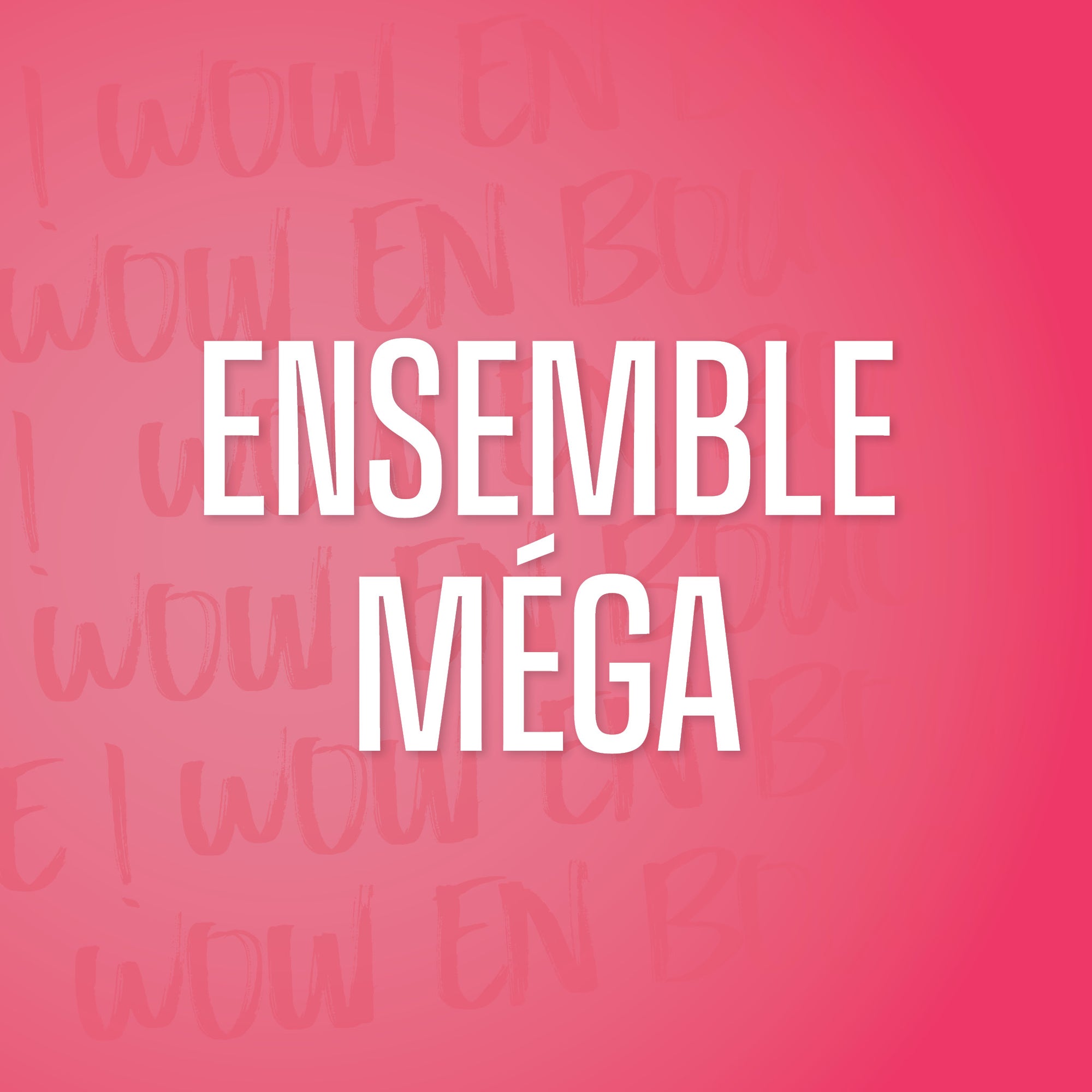 Ensemble Méga